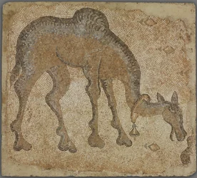 Fragment de mosaïque avec chameau broutant