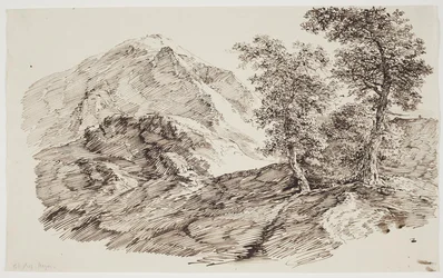 Paysage de montagne avec arbres