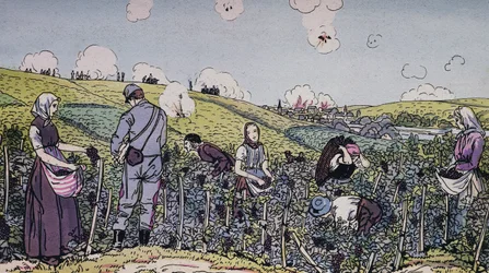 Nos viticulteurs vendangeaient sous le feu, les vendanges en Champagne en 1914, Première Guerre mondiale, France, XXe siècle