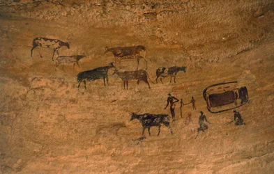 Scène de vie quotidienne avec du bétail, art rupestre, Tassili n