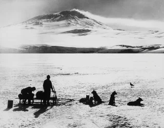Expédition au pôle Sud par Robert Falcon Scott (1868-1912), explorateurs devant le volcan Erebus sur l