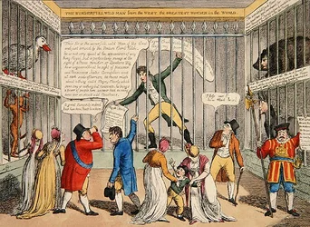 Un nouveau remède pour le Jacobinisme ou un coup d