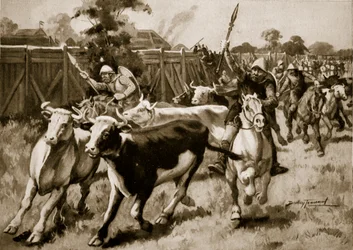 Après la bataille d