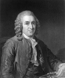 Carolus Linnaeus, naturaliste suédois du 18e siècle, 1836