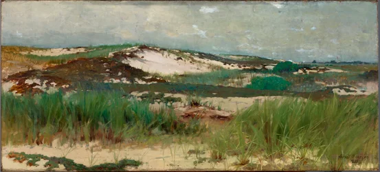 Dune de sable de Nantucket