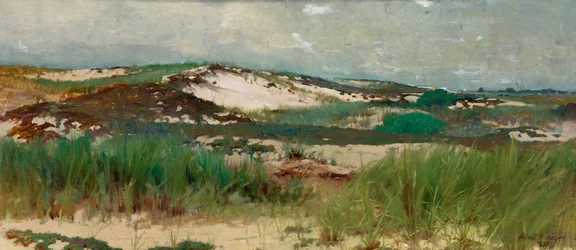 Dune de sable de Nantucket, vers 1890