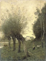 Paysage avec saules têtards