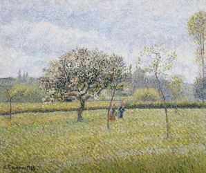 Pommier en fleur à Éragny, 1888