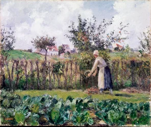 Dans le jardin