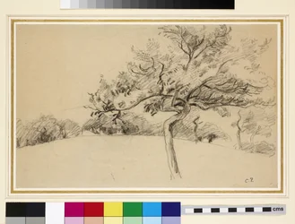 Étude du verger à Éragny-sur-Epte avec un arbre au premier plan