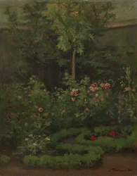 Un jardin de roses