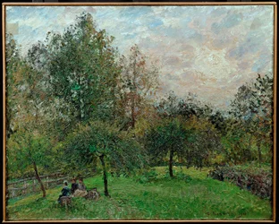 Pommiers et peupliers dans un coucher de soleil