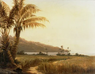 Cocotiers en bord de mer, Saint Thomas, Antilles ... (peinture sur toile)