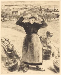 Récolte de pommes de terre, 1886