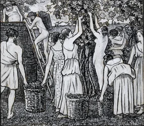 Vendange, étude de composition pour une illustration de 