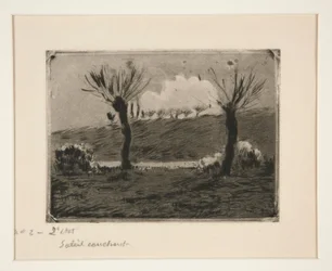 Soleil couchant