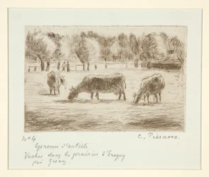 Vaches dans les prairies