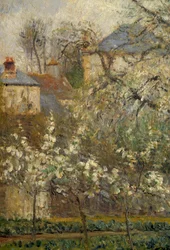 Potager et arbres en fleurs au printemps à Pontoise