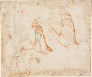 Étude de Mains (verso)