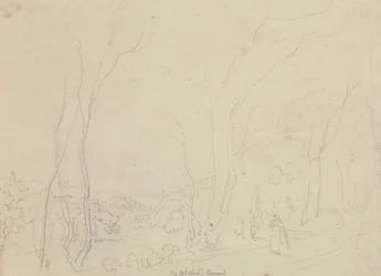 Le terrain de M. Nash
