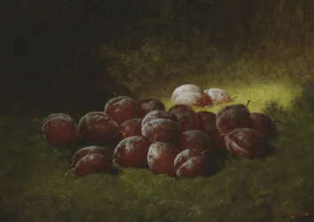 Prunes violettes, 1895