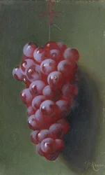 Nature Morte avec Raisins