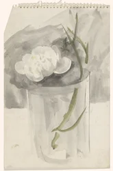 Fleur blanche dans un verre