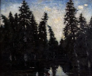Les épicéas noirs