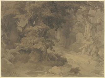 Forêt de chênes