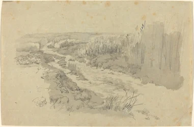 Un chemin à travers les champs près de Leipzig
