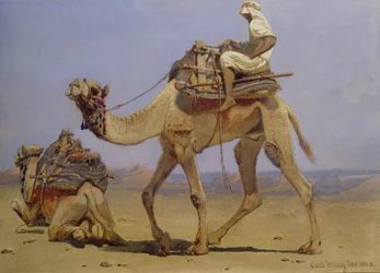 Chameau se préparant à se coucher, 1858