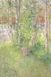Une sieste en plein air