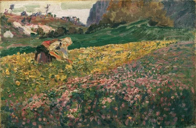 Fille dans le pré fleuri