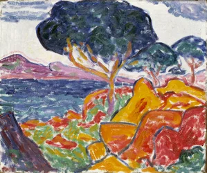 Paysage
