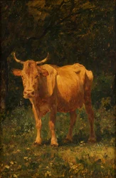 Vache couleur pain