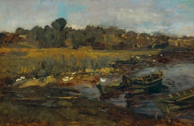 Paysage de roseaux au Schwielowsee avec des canards