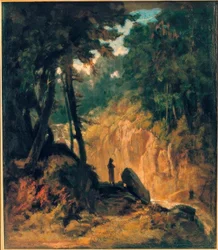 Paysage boisé avec cascade, au bord avec capucin