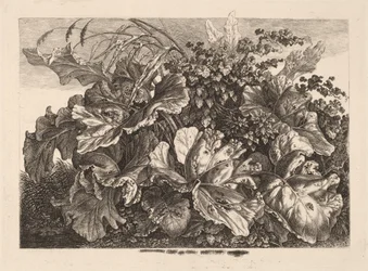 Étude de feuillage avec roseau et houblon