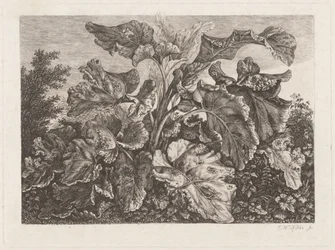 Étude de plante avec bardane