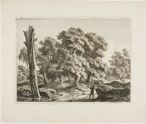 Paysage
