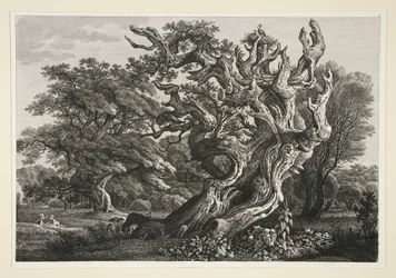 Paysage