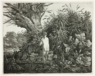 Nymphe dans un bois marécageux