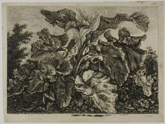 Feuille de légumes