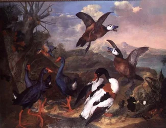Oiseaux dans un paysage