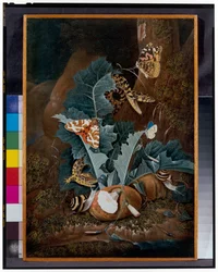 Nature morte au sol forestier avec escargots, serpents, lézards et papillons