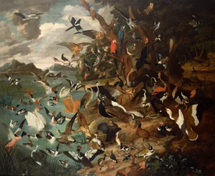 Le Parlement des oiseaux