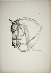 Détail de la tête de cheval, agrandie au triple, Garde royale normande, n° 2