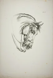 Détail de la tête de cheval, agrandie au triple, Garde royale normande, n° 5, Premier cheval de Limoges