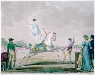 Exercices du cheval de cirque