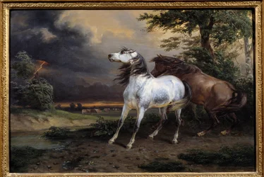 Chevaux effrayés par l